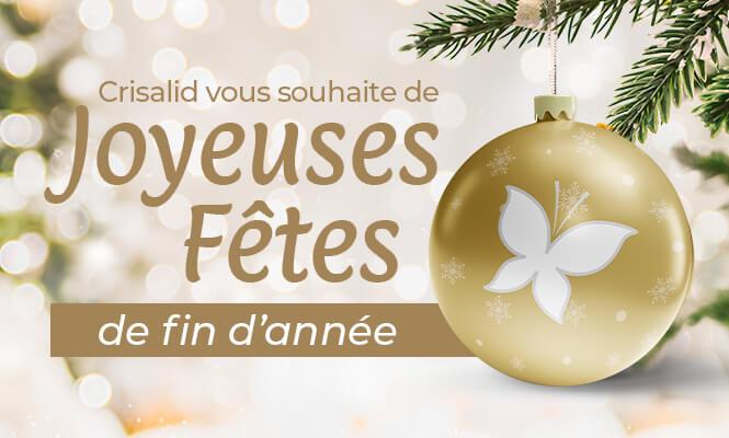 Joyeuses fêtes de fin d'année !